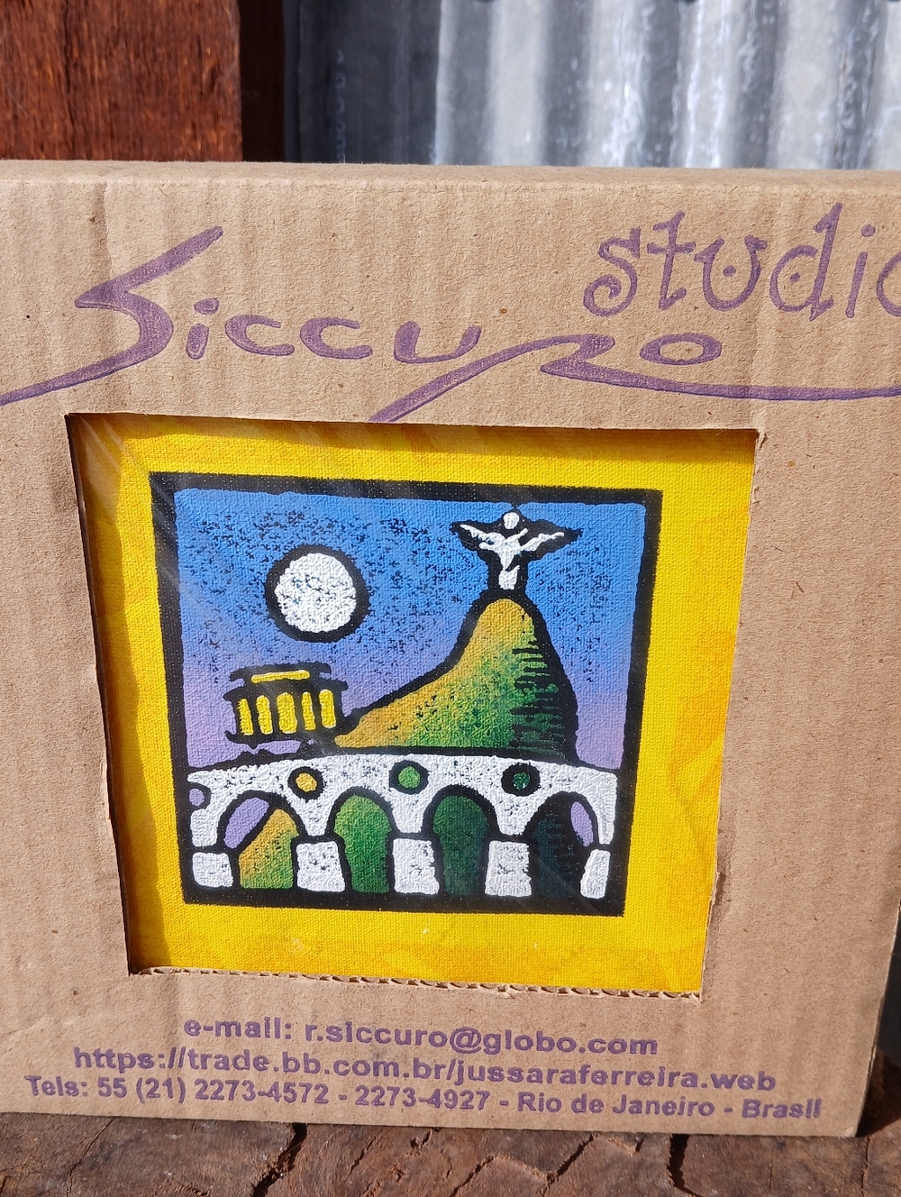 Siccuro Studio Framed Rio Brazil Art Small Canvas, NEW In Box